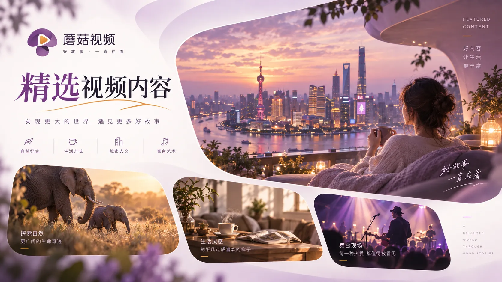 蘑菇视频电影片单与观看节奏